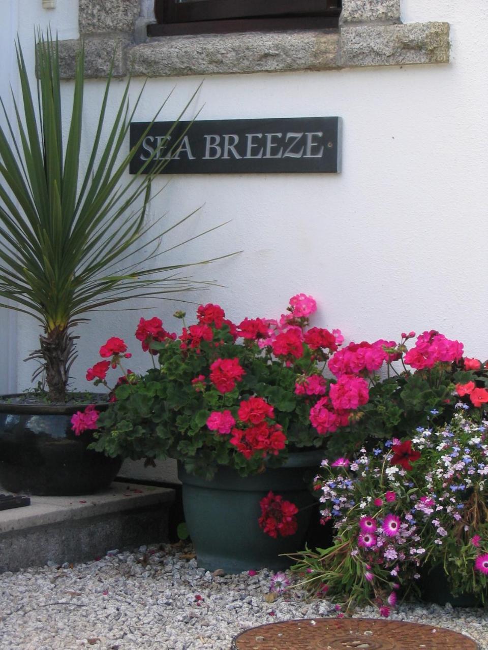Sea Breeze Bed & Breakfast St Ives Eksteriør bilde